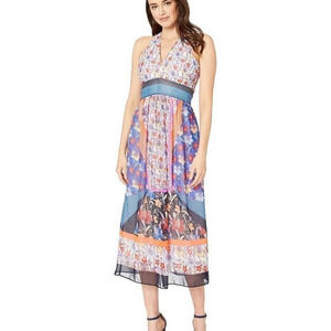 Maggy London Folk Fest Printed Chiffon Maxi Dress